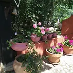 Rural Casa Alfayales-only Adults 3*