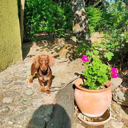 住宿加早餐酒店 Rural Casa Alfayales-only Adults 3*