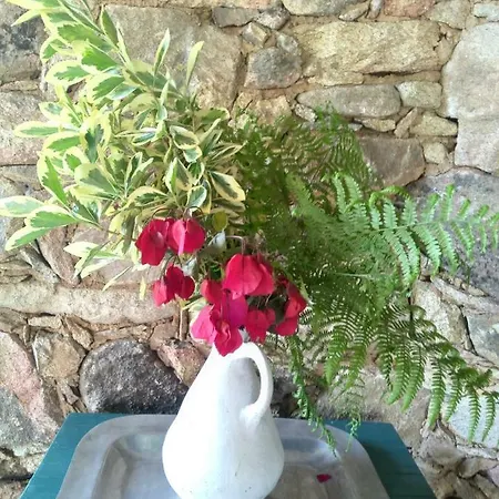 Couette-café Rural Casa Alfayales-only Adults