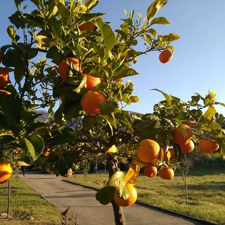 住宿加早餐酒店 Rural Casa Alfayales-only Adults 波亚莱斯－德尔奥约
