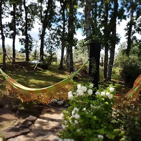 Couette-café Rural Casa Alfayales-only Adults