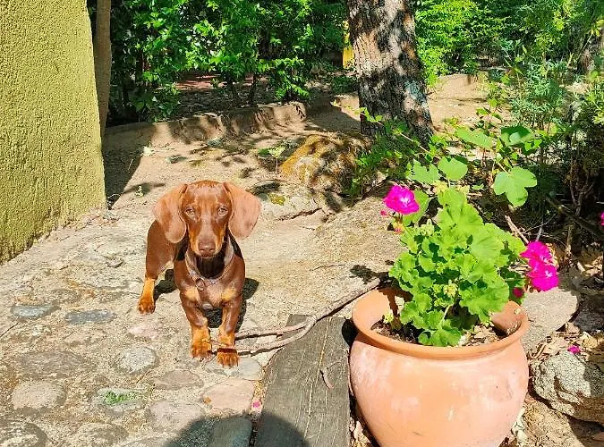 Nocleg ze śniadaniem Rural Casa Alfayales-only Adults 3*