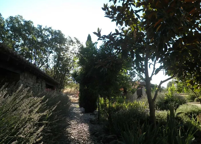 Rural Casa Alfayales-only Adults 3* Poyales Del Hoyo