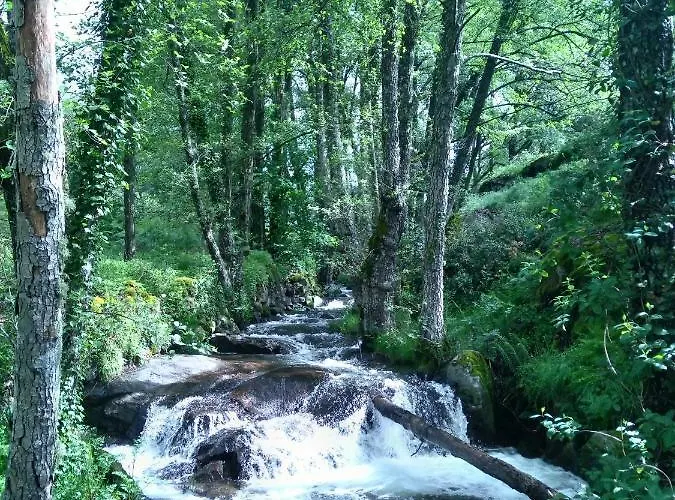 Rural Casa Alfayales-only Adults 3* Poyales Del Hoyo