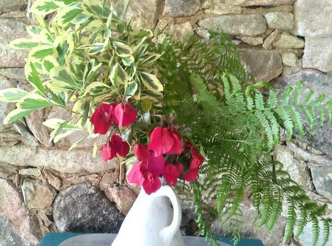 Bed & Breakfast Rural Casa Alfayales-only Adults