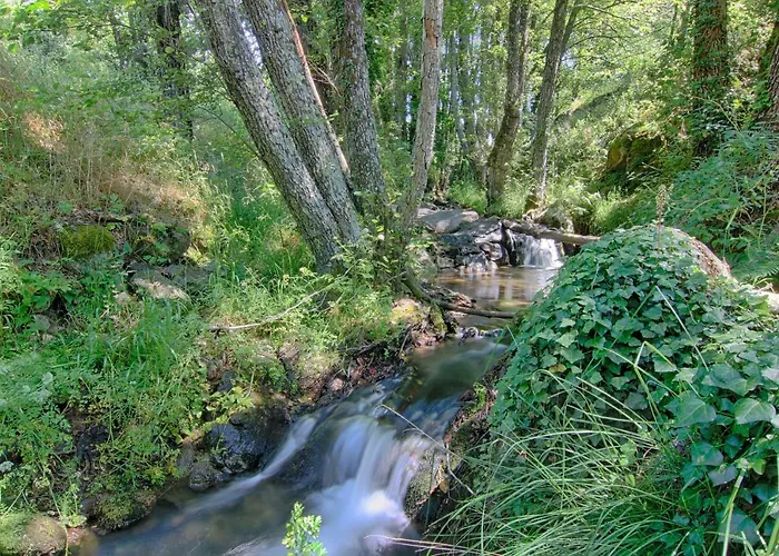 Bed & Breakfast Rural Casa Alfayales-only Adults 3*